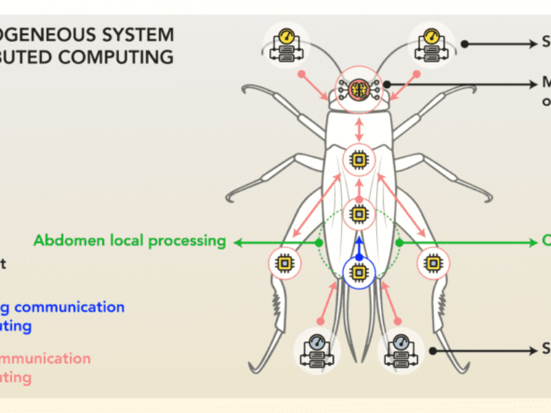 €3m for hybrid AI chip inspired by insects