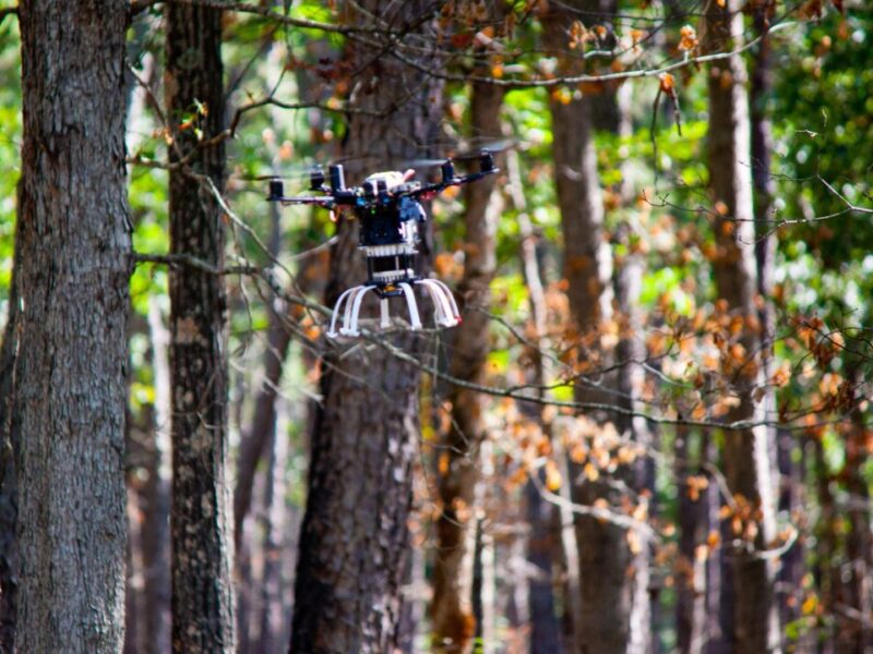 Forest drone startup raises $4.8m