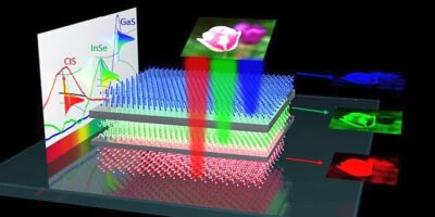 Artificial vision device promises color micro-scale cameras