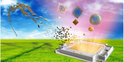 First quantum dot LEDs built from rice husks