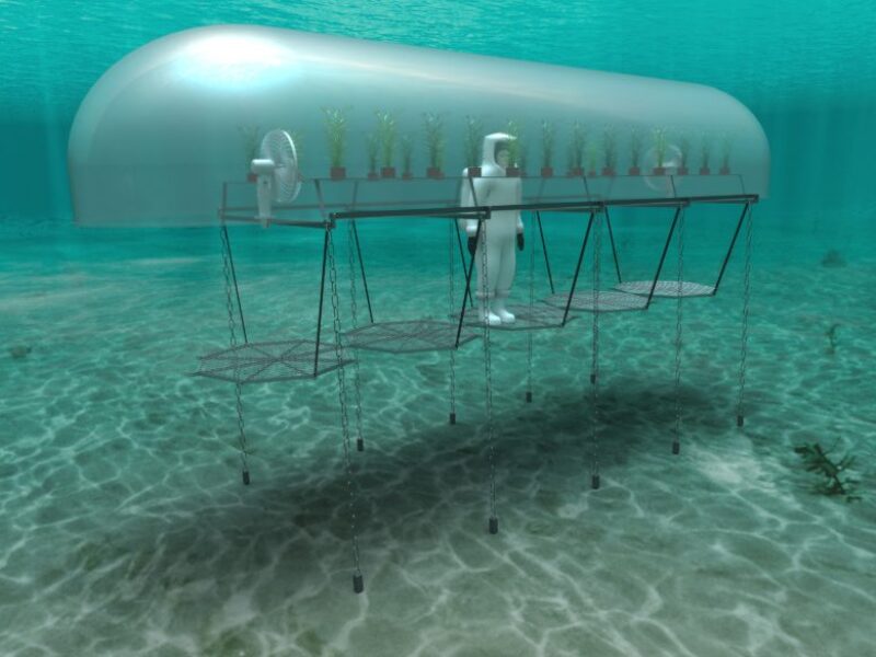 Digital twin for underwater greenhouse startup