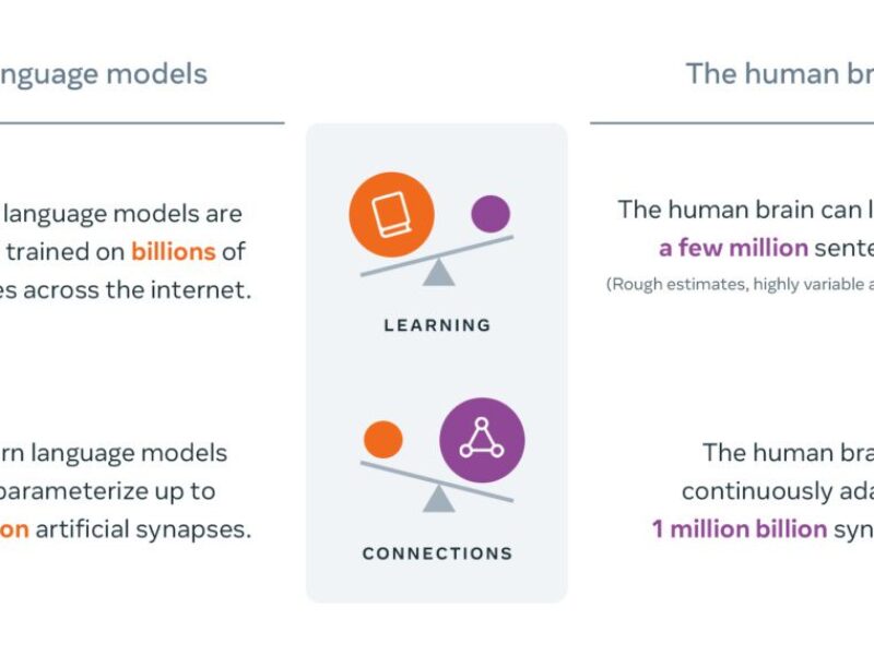 Projet Européen pour une IA fonctionnant comme le cerveau