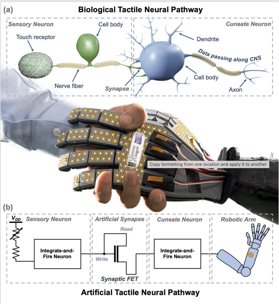 Artificial skin for touch-sensitive robots capable of feeling ‘pain’