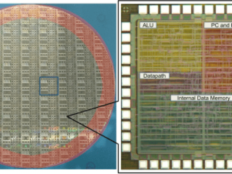 World’s first native plastic programmable processor
