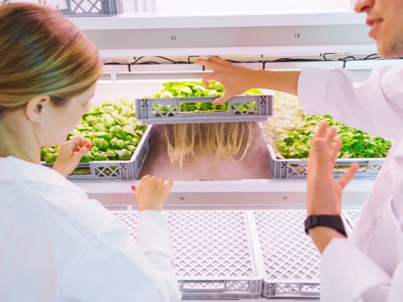 £8m for UK smart farming projects