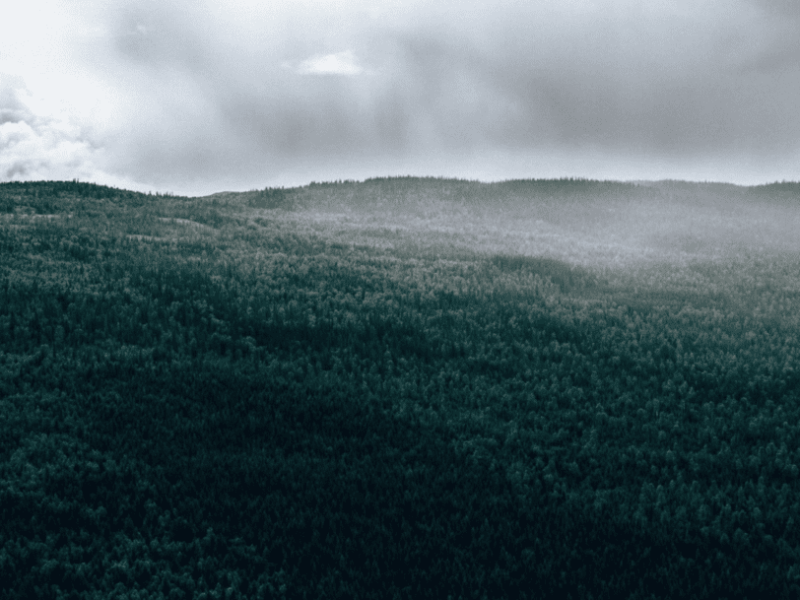 Northvolt signs deal for sustainable lignin carbon battery anodes