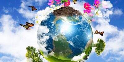 ‘Citizen science’ nature app uses AI, smartphone camera