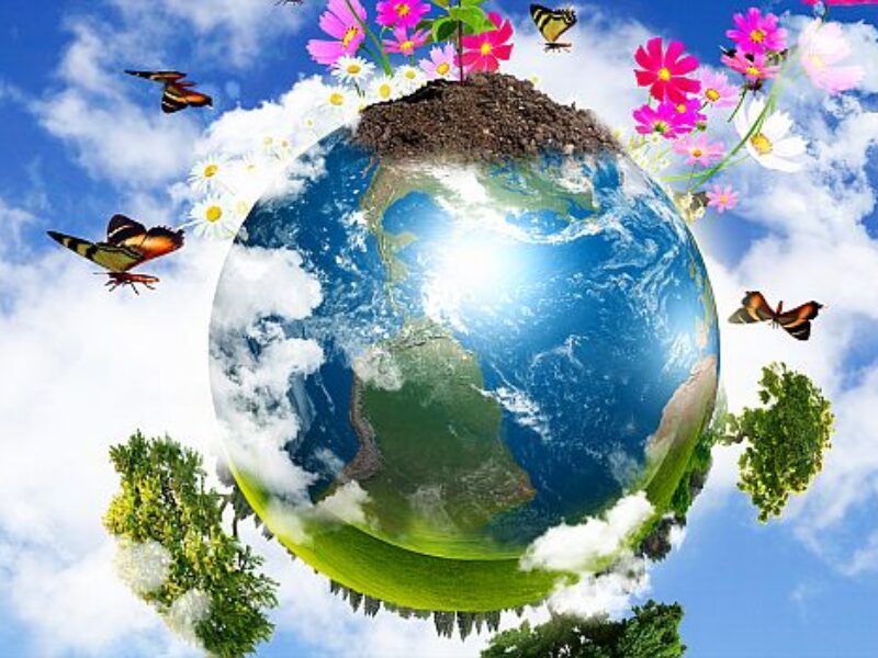 ‘Citizen science’ nature app uses AI, smartphone camera