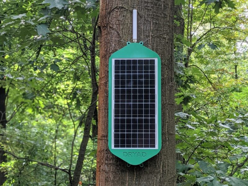 Dryad raises €10.5m to warn of wildfires