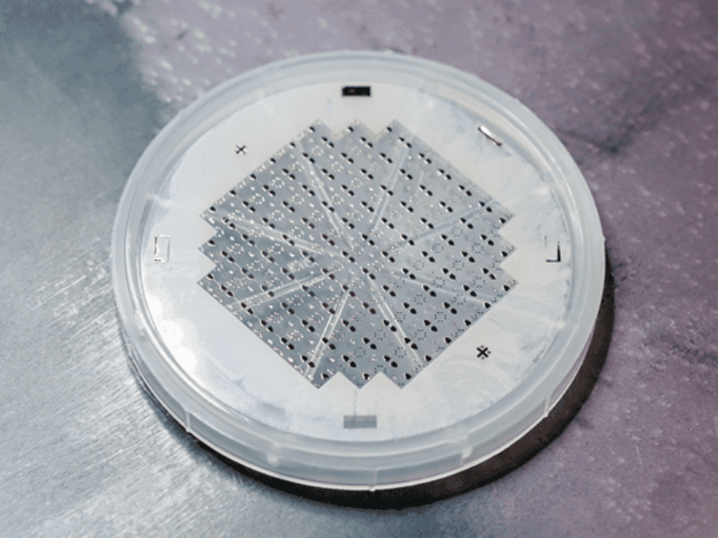 NXP teams for German quantum computer projects