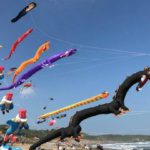 TSMC’s sales growth stays high as UMC’s dips