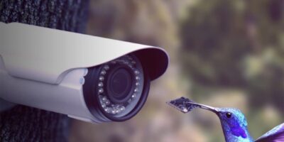 Partnership launches Wi-Fi HaLow IoT security cameras