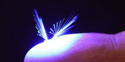 Artificial seed robot flies by the power of wind and light