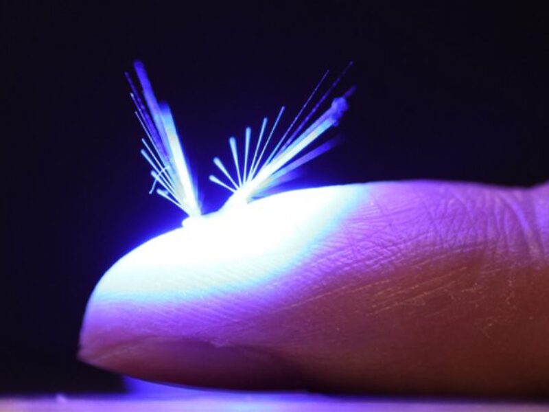 Artificial seed robot flies by the power of wind and light