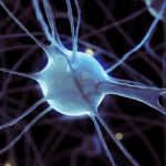 Space and Time Vision with NimbleAI’s 3D Chip Design