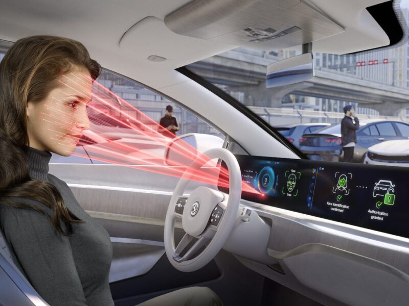 Driver Identification Display protects against car theft