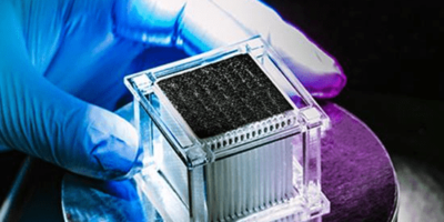 Fresh Red Sea water with New Design