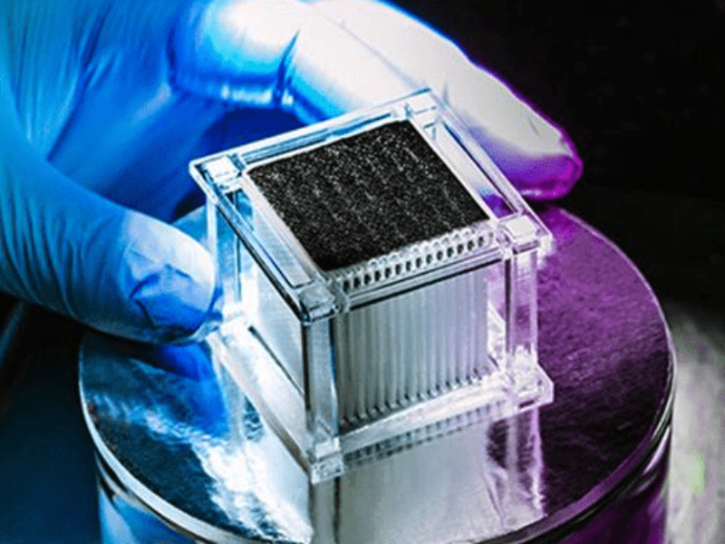 Fresh Red Sea water with New Design