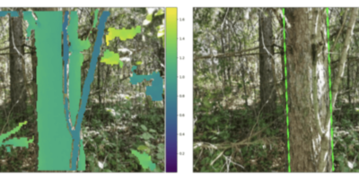 Your Smartphone can be a Tree-Hugger 