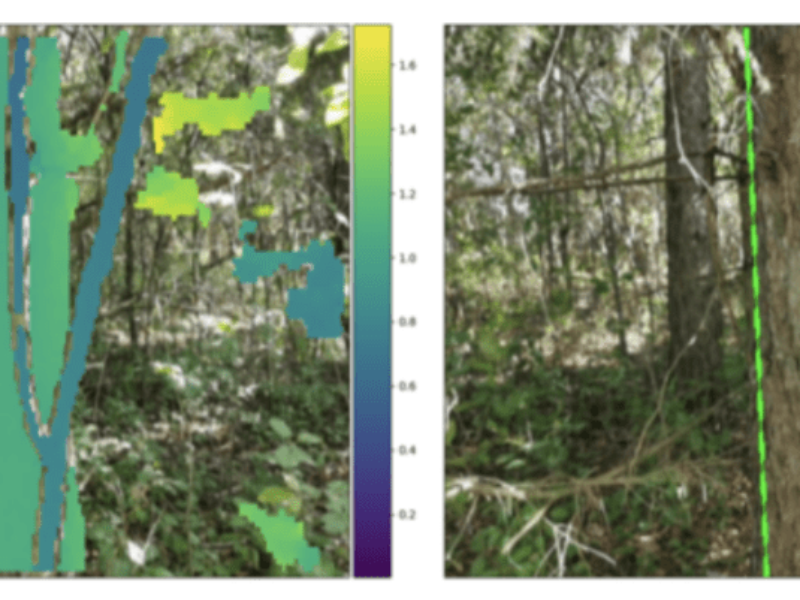 Your Smartphone can be a Tree-Hugger 