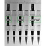 Weebit Nano raises US$40 million to transfer ReRAM to fabs