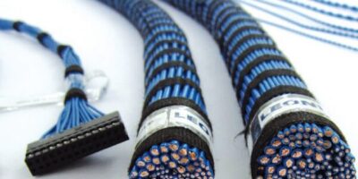 La lutte pour la survie de Leoni prend une tournure dramatique