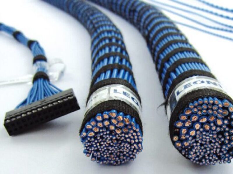 La lutte pour la survie de Leoni prend une tournure dramatique