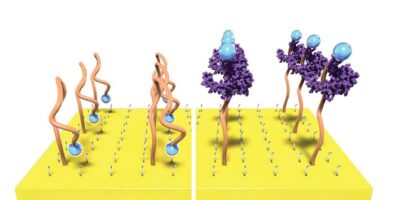 Plastic transistor boosts biochemical sensor signals