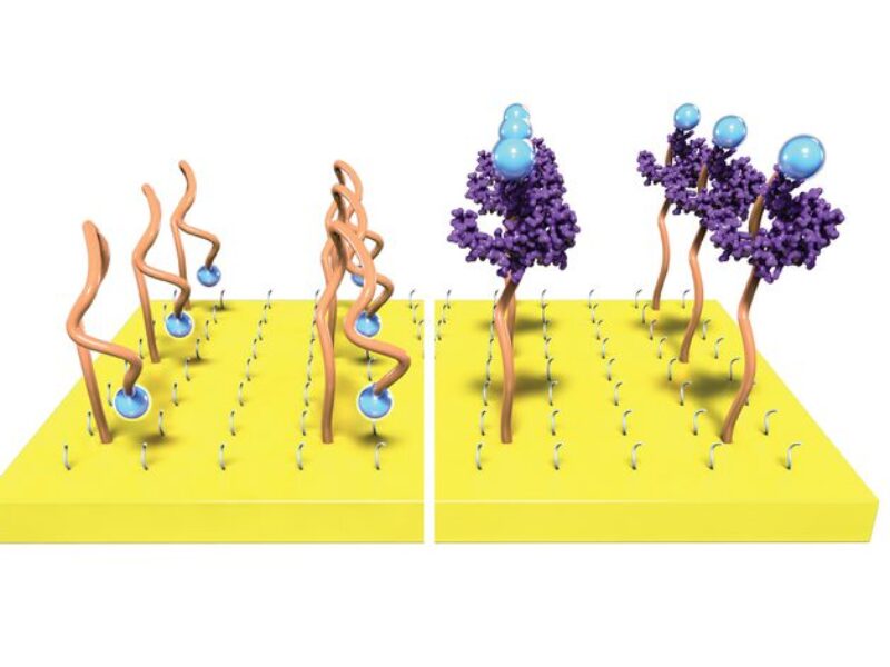 Plastic transistor boosts biochemical sensor signals