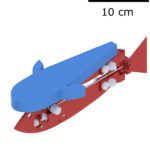 Robot fish to make underwater exploration more accessible