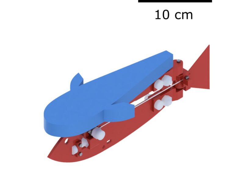 Robot fish to make underwater exploration more accessible