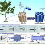 Transistor made of wood – BioElectronics Research