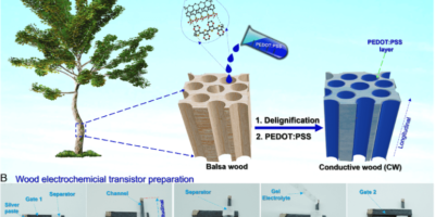 Transistor made of wood – BioElectronics Research