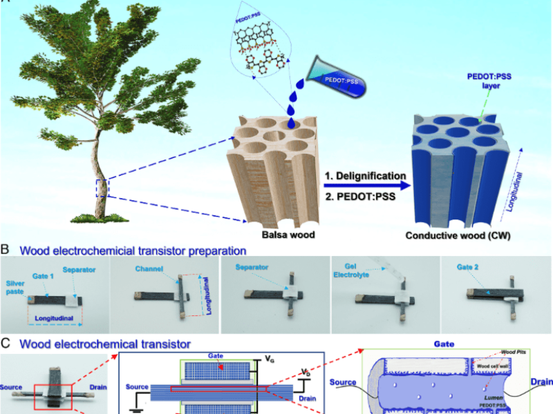 Transistor made of wood – BioElectronics Research