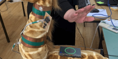 Machine Learning for Smart Toys