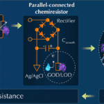 Sensitive biosensor boosts wearable health monitoring