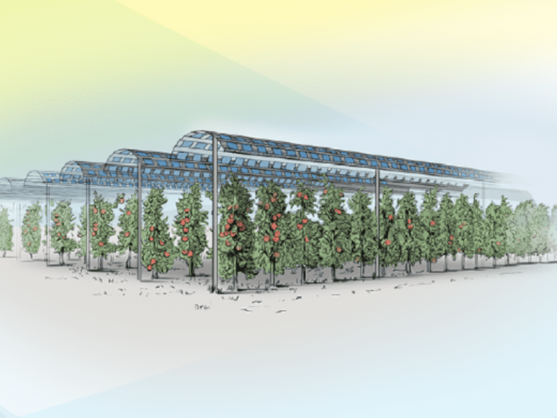 ‘Best of Both Worlds’ – Agrivoltaics