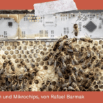 Between Bots and Bees