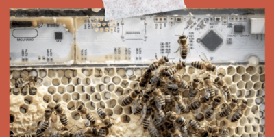 Between Bots and Bees