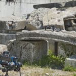 Watch twelve years of leading edge Swiss robotics