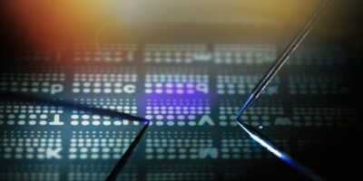 2D capacitors for in-memory AI image recognition in a light sensor