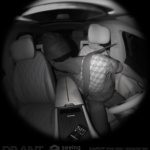 Seeing Machines and Devant team up to improve driver monitoring