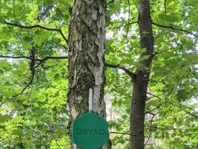 Dryad adds to Series A to detect forest fires