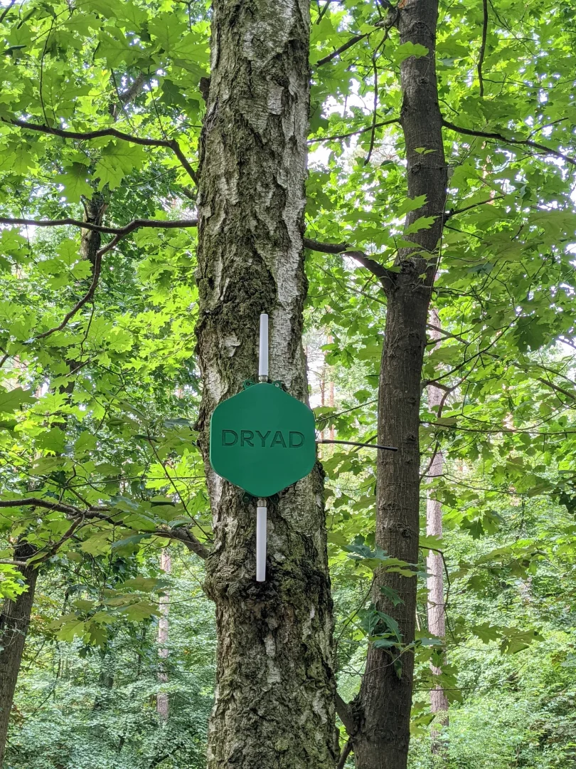 Dryad adds to Series A to detect forest fires