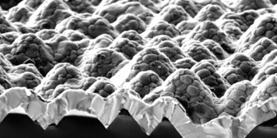 Photovoltaic Efficiency Milestone