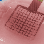 Monitoring brain tsunamis with graphene transistors