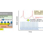 Transistor neuromorphique rapide à double couche électrique pour l&rsquo;IA