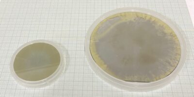 Asahi Kasei announces first 4-inch aluminum nitride substrate