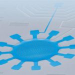 Millisecond quantum decoherence in mechanical oscillators