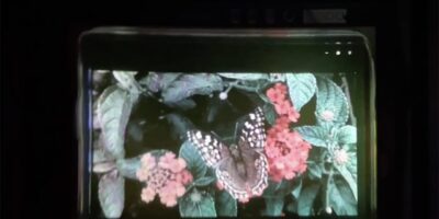 Full-color nanopore quantum dot micro-display for AR/VR